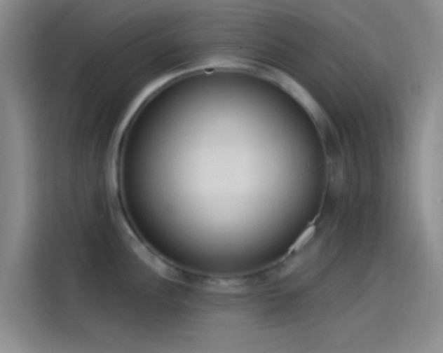 X0000114081148200910131231