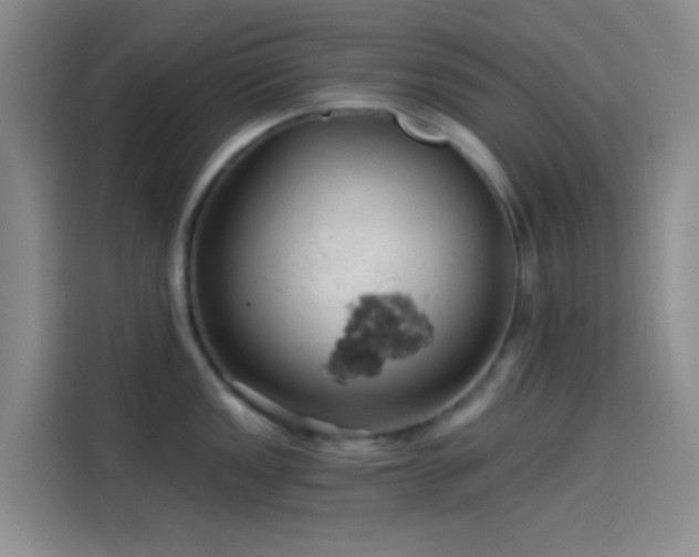 X0000114081149200910131231