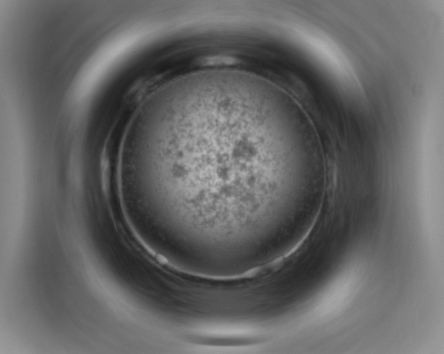 X0000114081151200910131231