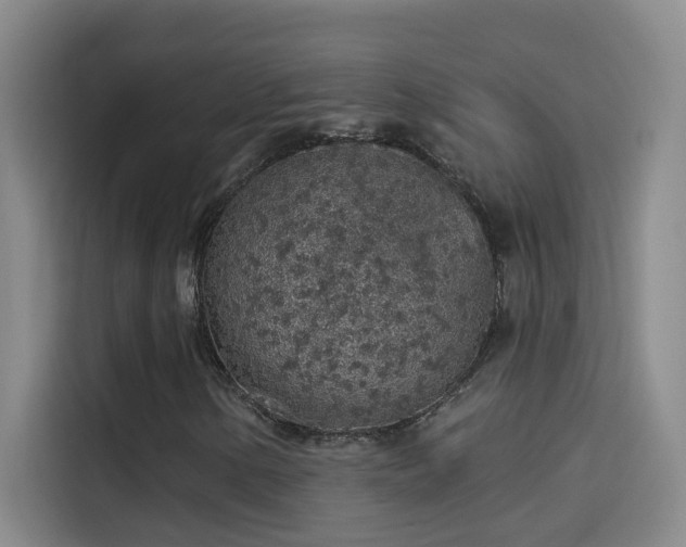 X0000114081154200910131231