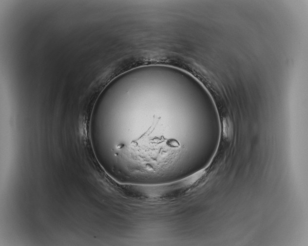 X0000114081155200910131231