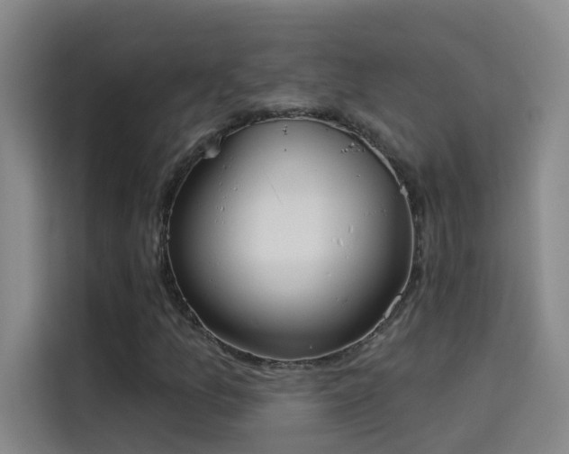 X0000114081157200910131231