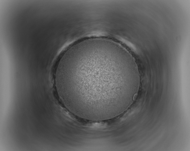 X0000114081160200910131231