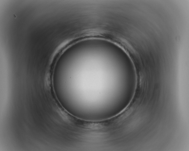 X0000114081164200910131230