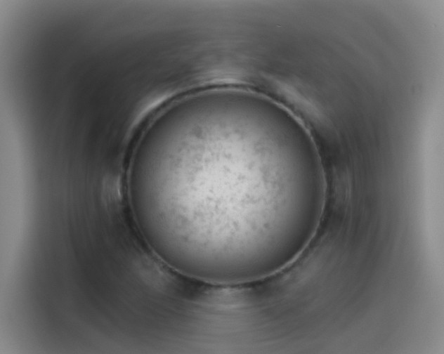 X0000114081166200910131230