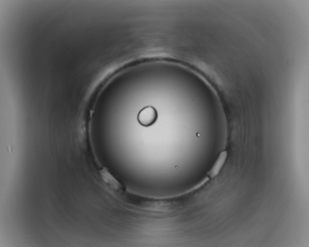 X0000114081167200910131230