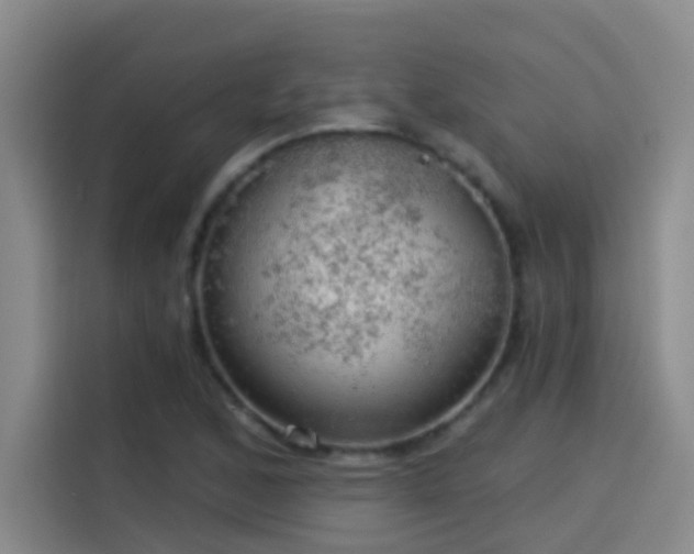 X0000114081168200910131230