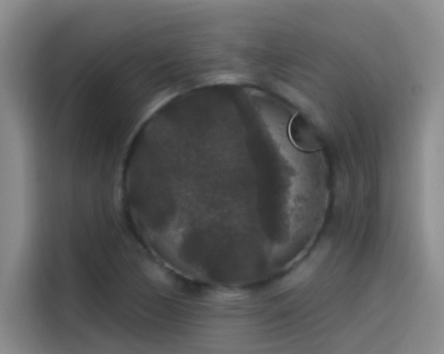 X0000114081170200910131230