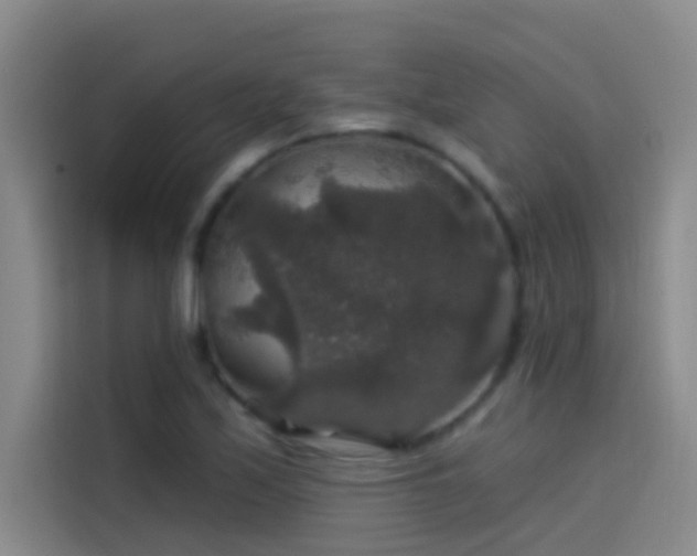 X0000114081171200910131230