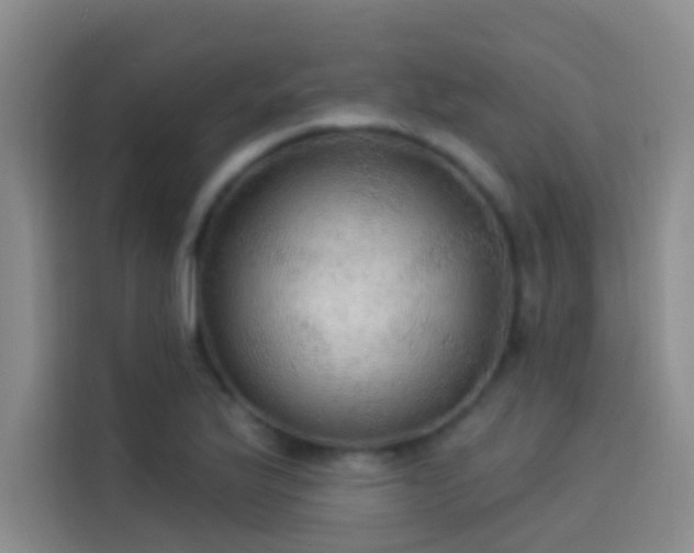 X0000114081175200910131230