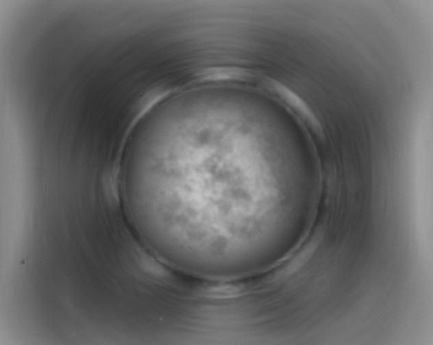 X0000114081178200910131230