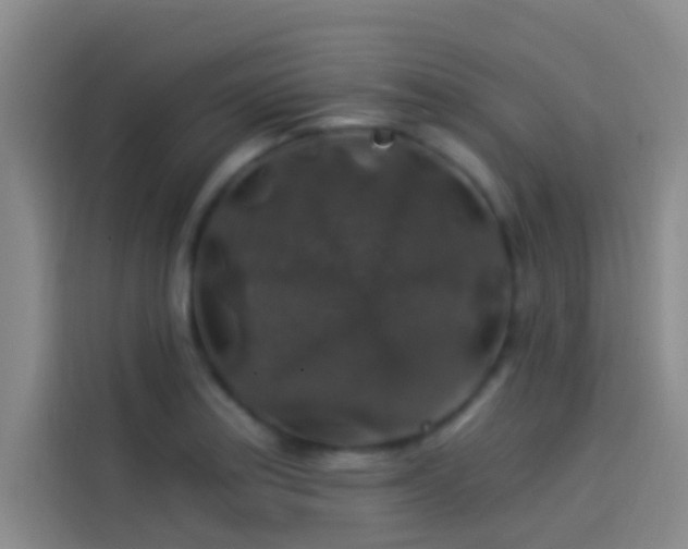 X0000114081179200910131230