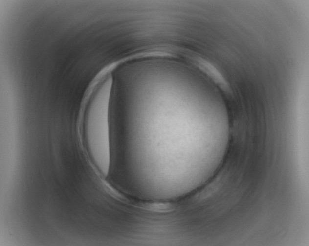 X0000114081180200910131230