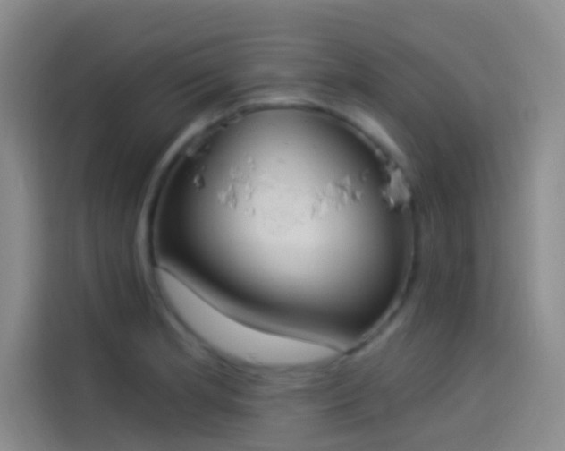 X0000114081181200910131230