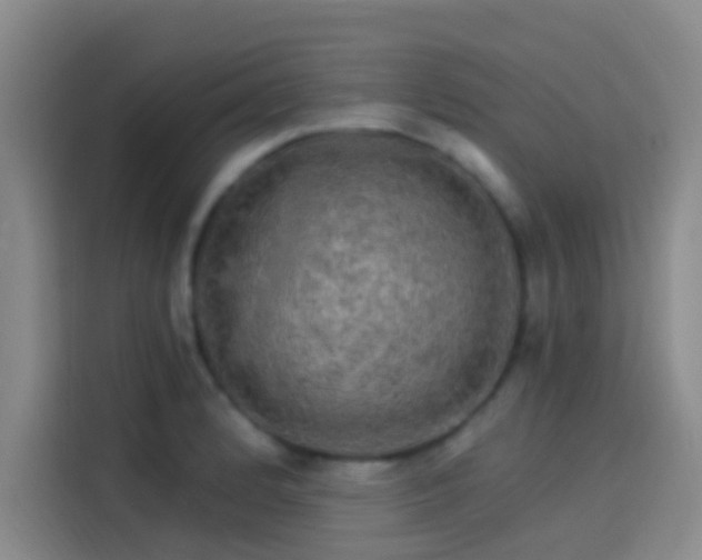 X0000114081184200910131230