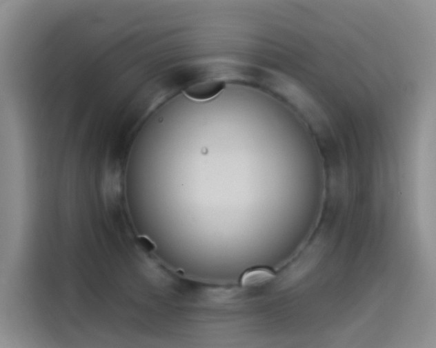 X0000114081185200910131230