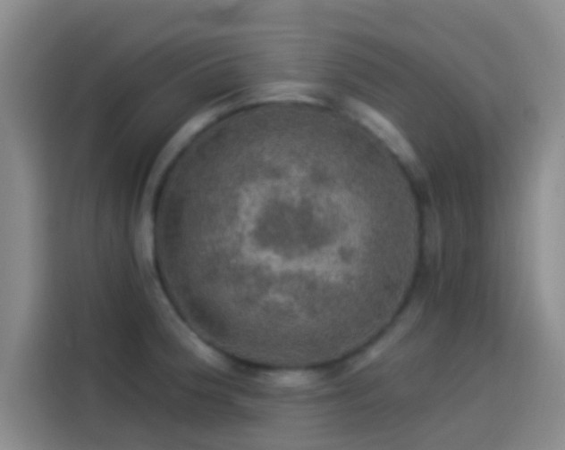 X0000114081188200910131230