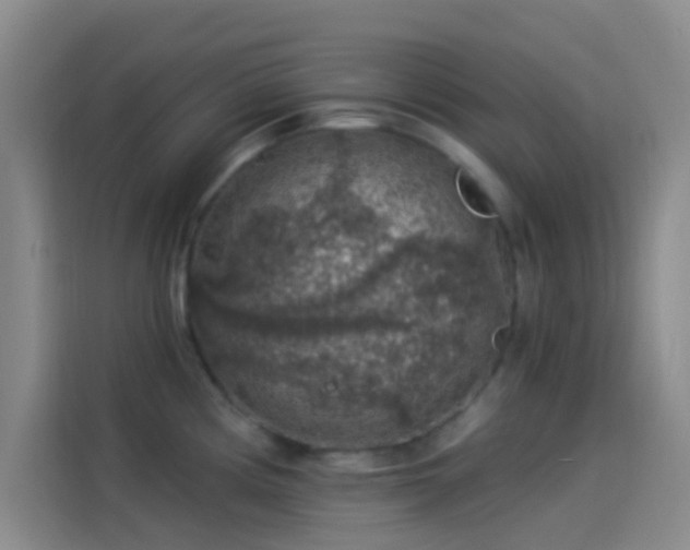 X0000114081194200910131230