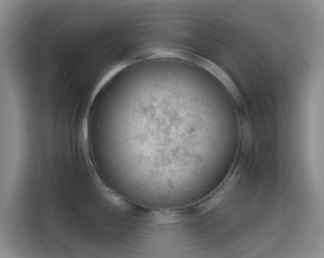 X0000114081198200910131230