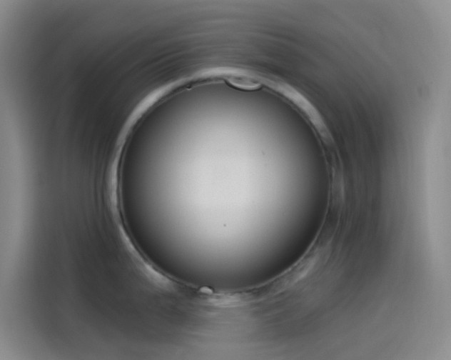 X0000114081199200910131230