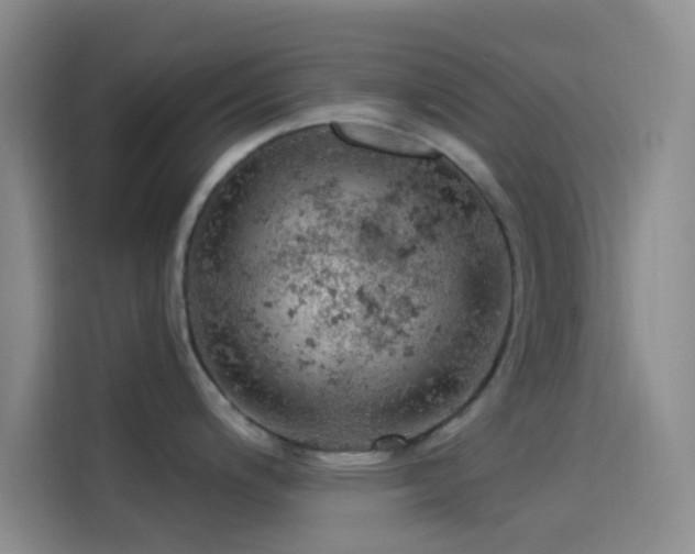 X0000114081200200910131230