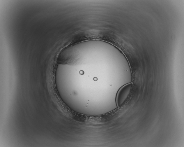 X0000114081201200910131229