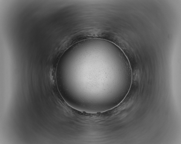 X0000114081202200910131229