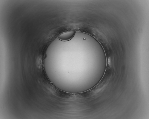 X0000114081203200910131229