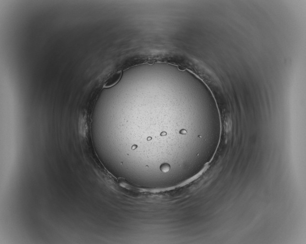 X0000114081204200910131229