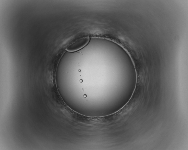 X0000114081205200910131229