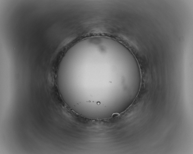 X0000114081207200910131229