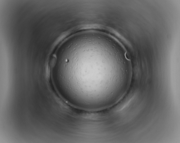 X0000114081221200910131230