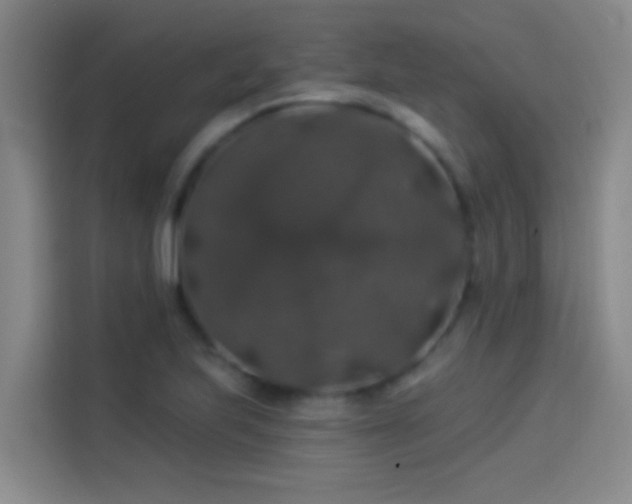 X0000114081223200910131230