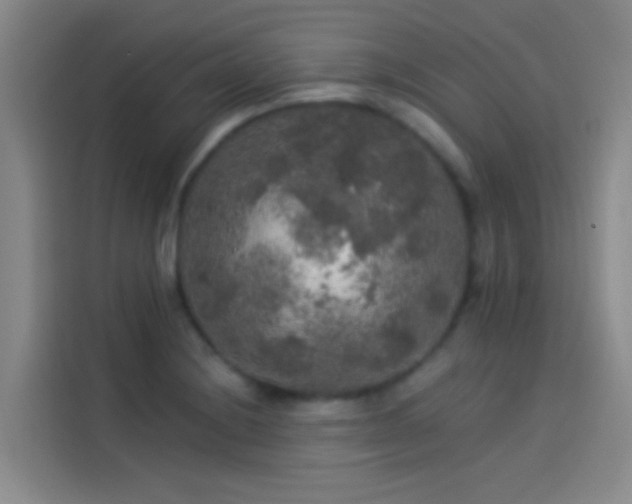 X0000114081228200910131230