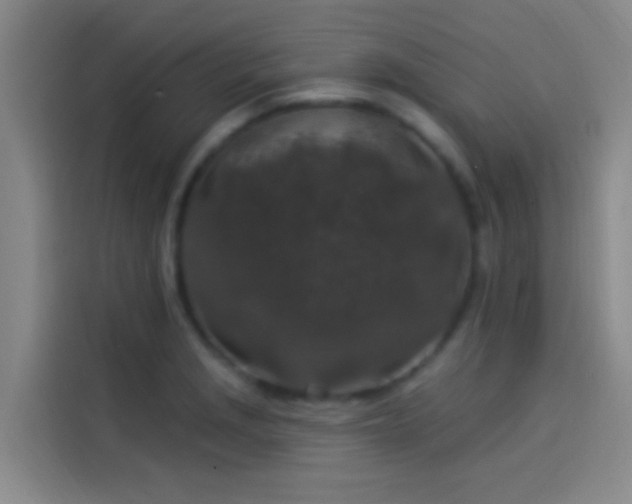 X0000114081229200910131230