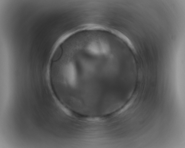 X0000114081231200910131230