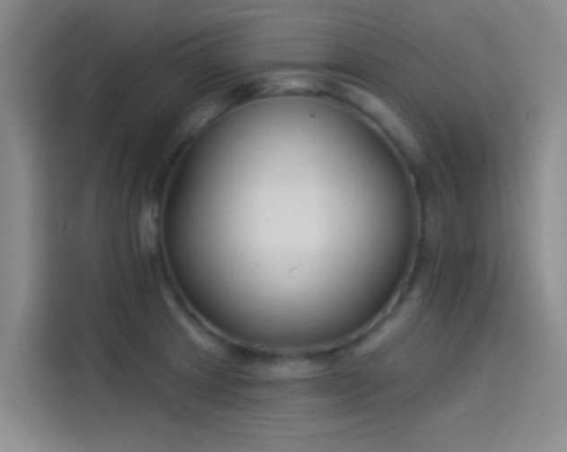 X0000114081233200910131230