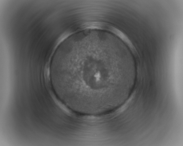 X0000114081234200910131230