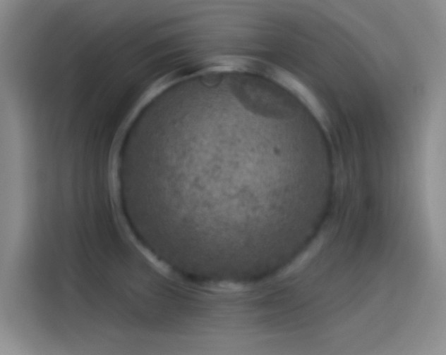 X0000114081235200910131230