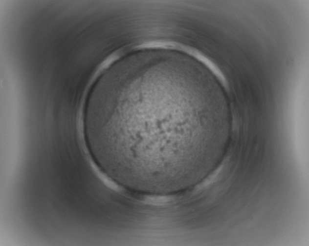 X0000114081237200910131230