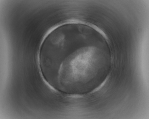 X0000114081239200910131230