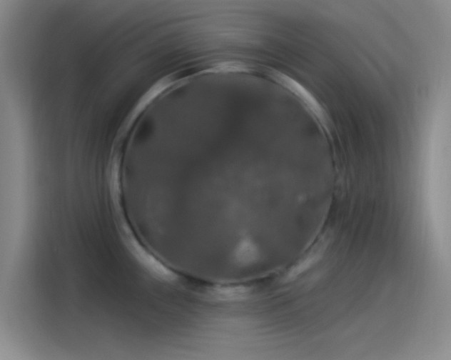 X0000114081243200910131230