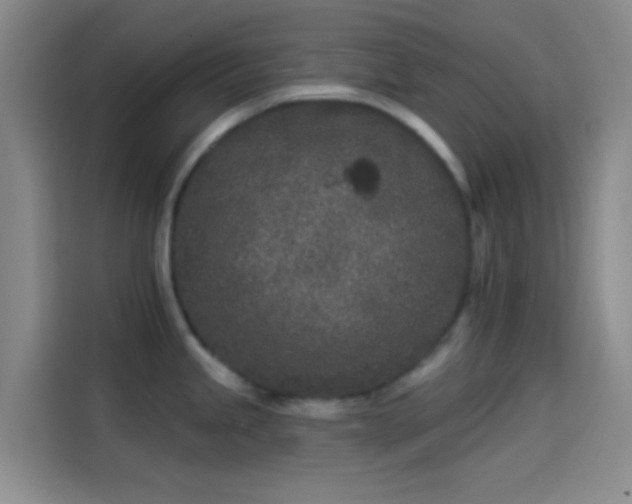 X0000114081245200910131230