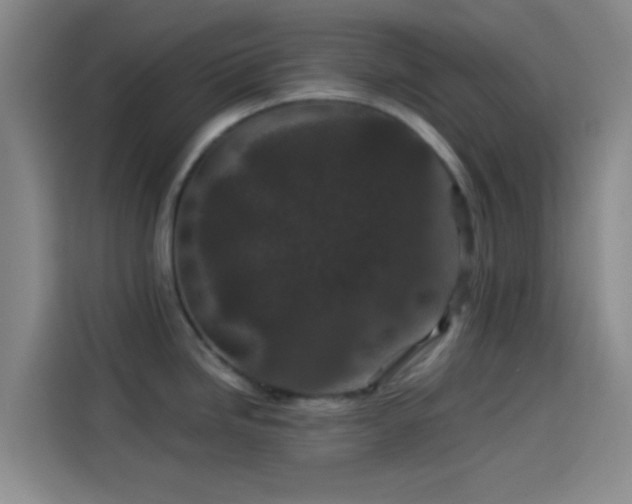 X0000114081246200910131230