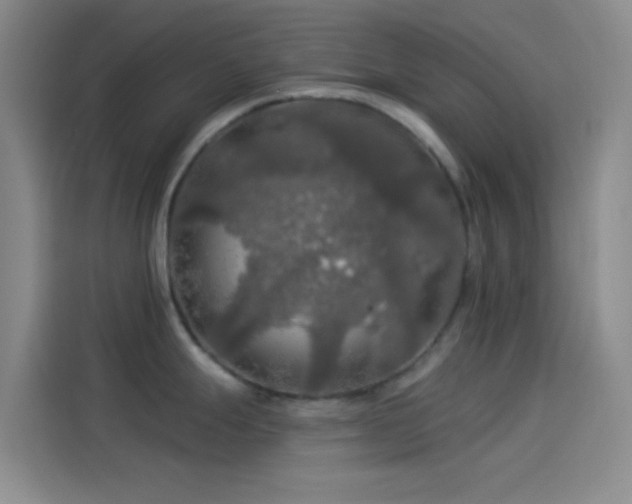 X0000114081247200910131230