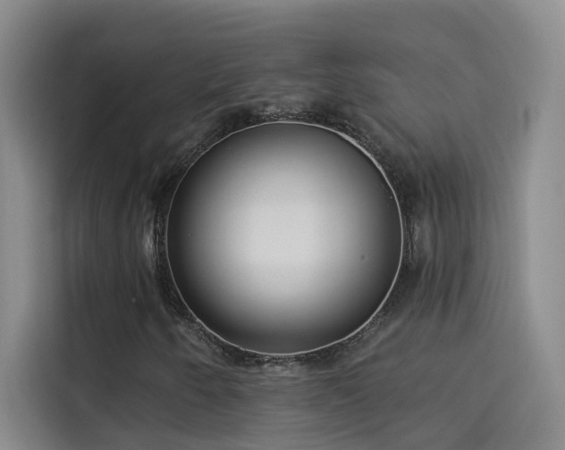 X0000114081250200910131229