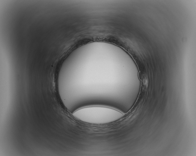 X0000114081252200910131229