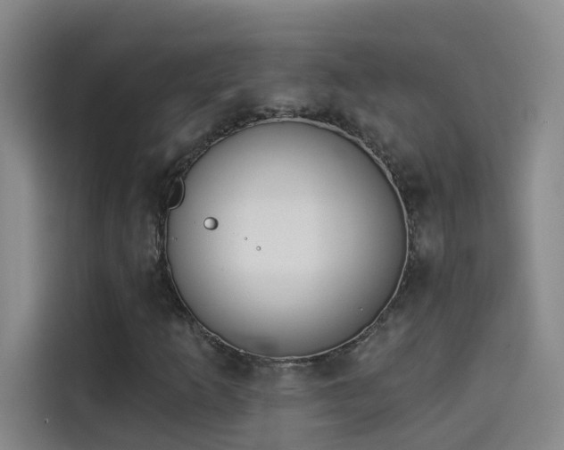 X0000114081253200910131229