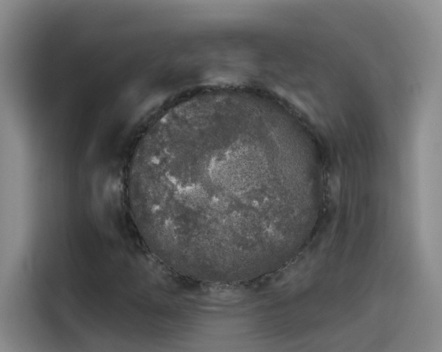 X0000114081254200910131229