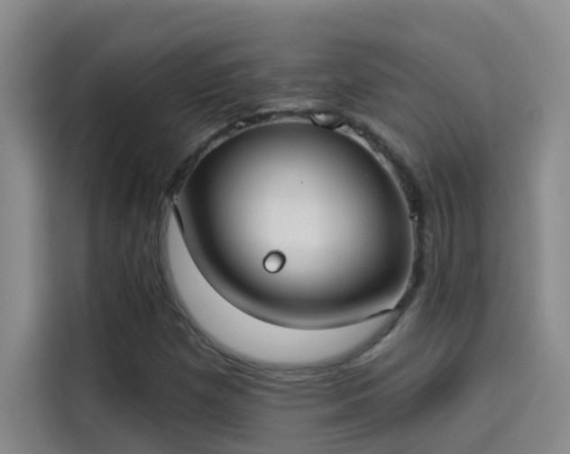 X0000114081257200910131229